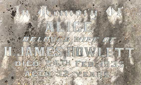 Alice Howlett