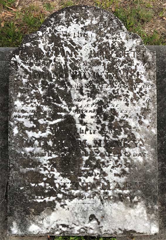 William Howlett