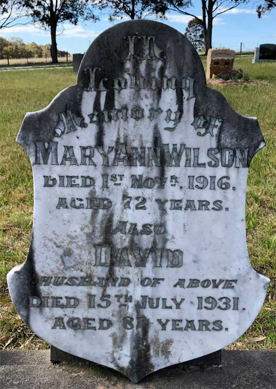 David Wilson