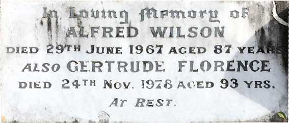 Alfred Wilson