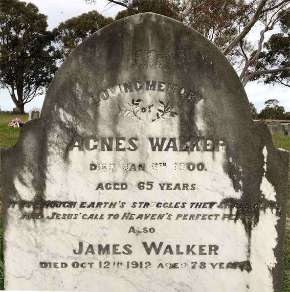Agnes Walker